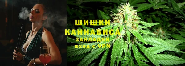 МДПВ Бронницы