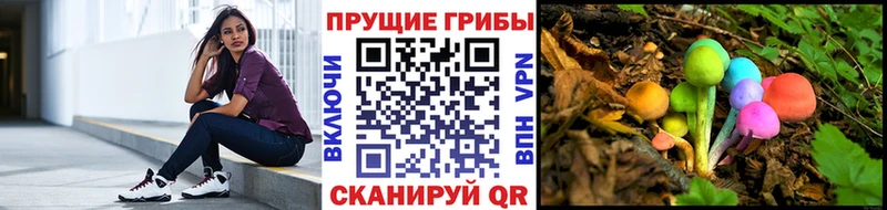 OMG ссылка  Выборг  Галлюциногенные грибы Magic Shrooms 